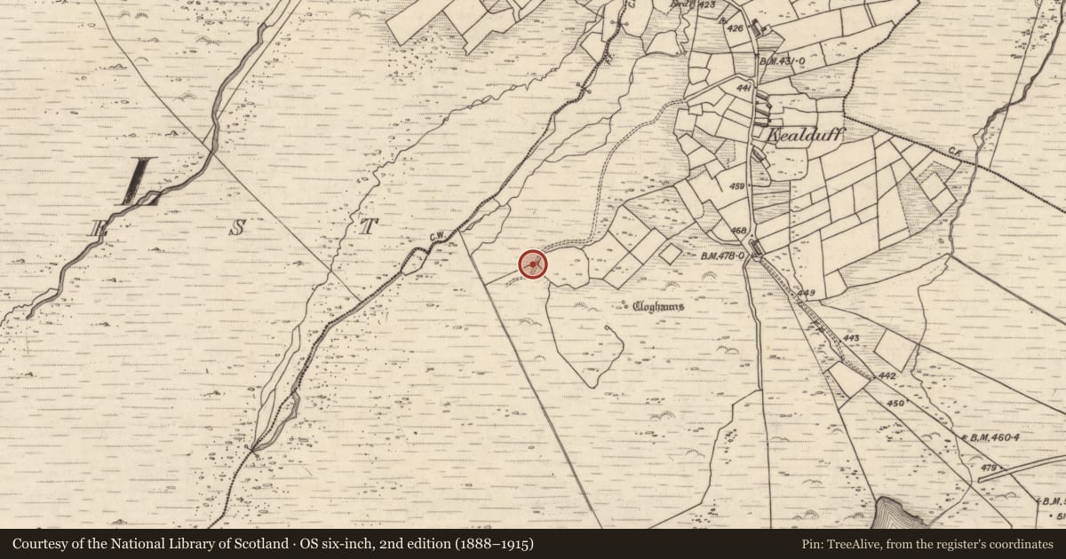 Ordnance Survey six-inch map, 2nd edition (1888–1915) covering the location of Rock art, Kealduff Upper, County Kerry, with a pin at the register's coordinates