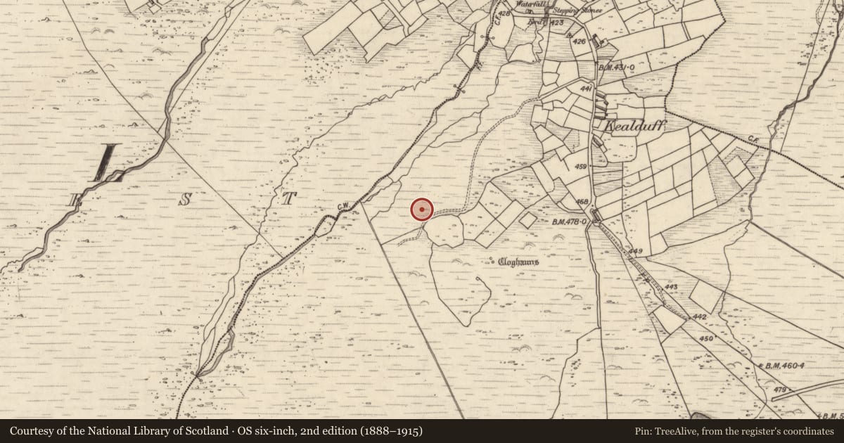 Ordnance Survey six-inch map, 2nd edition (1888–1915) covering the location of Rock art, Kealduff Upper, County Kerry, with a pin at the register's coordinates