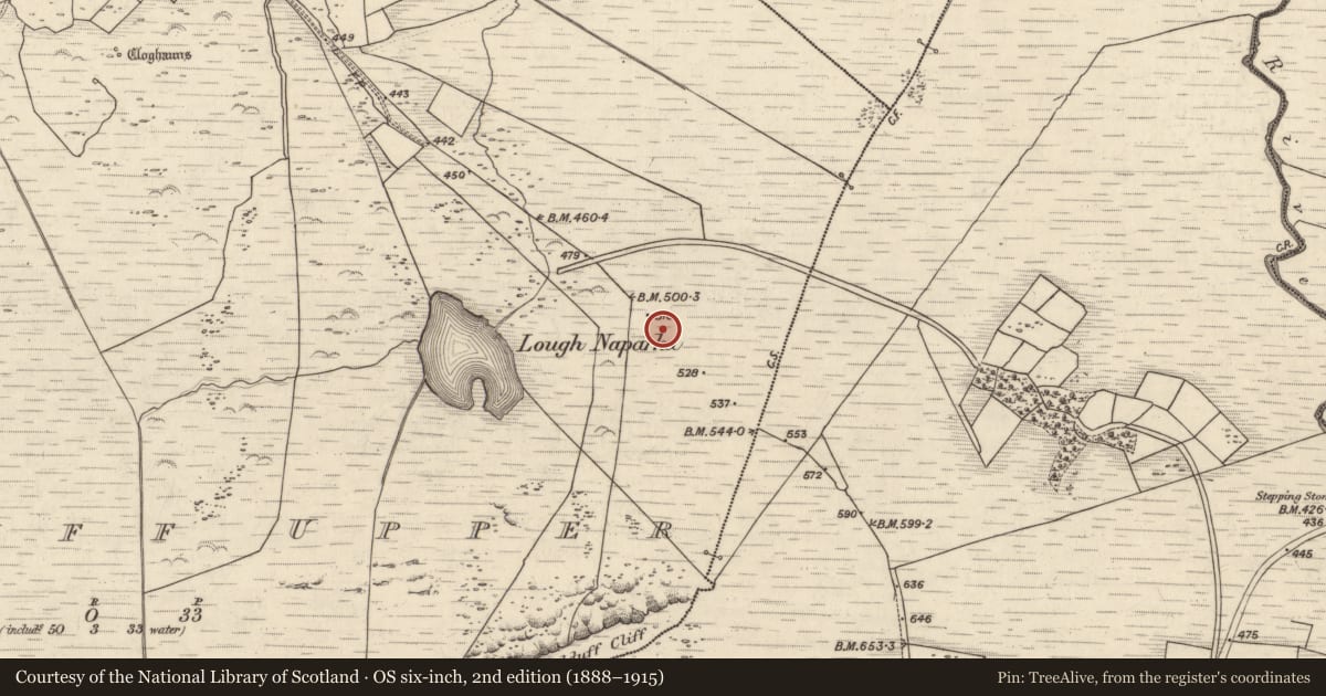Ordnance Survey six-inch map, 2nd edition (1888–1915) covering the location of Rock art, Kealduff Upper, County Kerry, with a pin at the register's coordinates