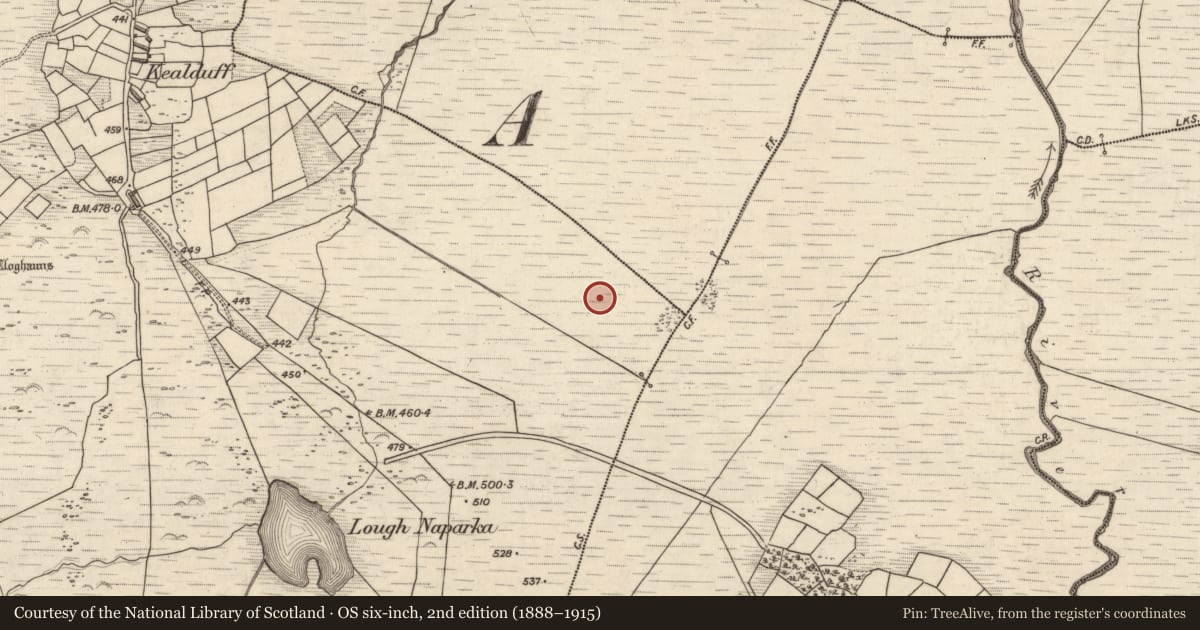 Ordnance Survey six-inch map, 2nd edition (1888–1915) covering the location of Rock art, Kealduff Upper, County Kerry, with a pin at the register's coordinates