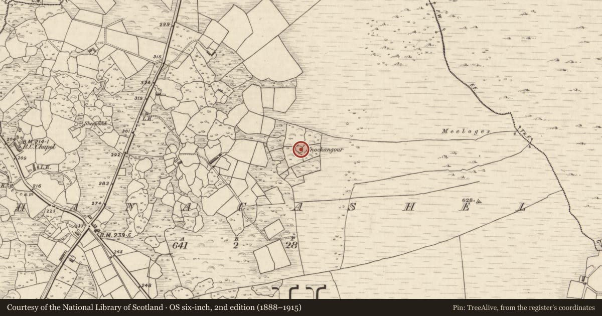 Ordnance Survey six-inch map, 2nd edition (1888–1915) covering the location of Ringfort - cashel, Shanacashel, County Kerry, with a pin at the register's coordinates