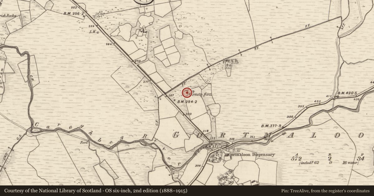 Ordnance Survey six-inch map, 2nd edition (1888–1915) covering the location of Ringfort - cashel, Gortmaloon East, County Kerry, with a pin at the register's coordinates