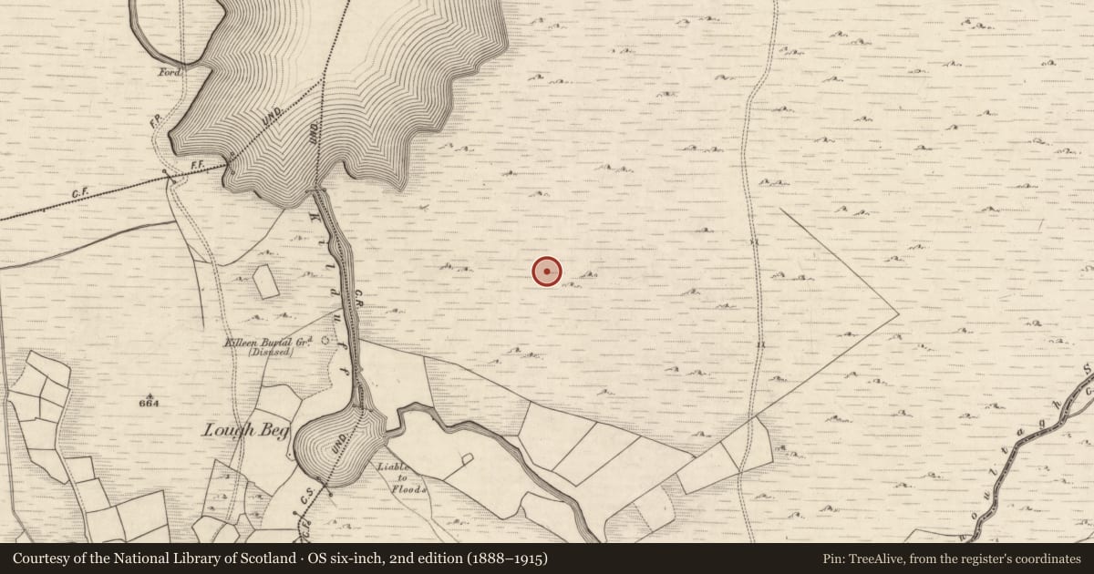 Ordnance Survey six-inch map, 2nd edition (1888–1915) covering the location of Field system, Derrynafeana (Dunkerron North By., Knockane Par.), County Kerry, with a pin at the register's coordinates