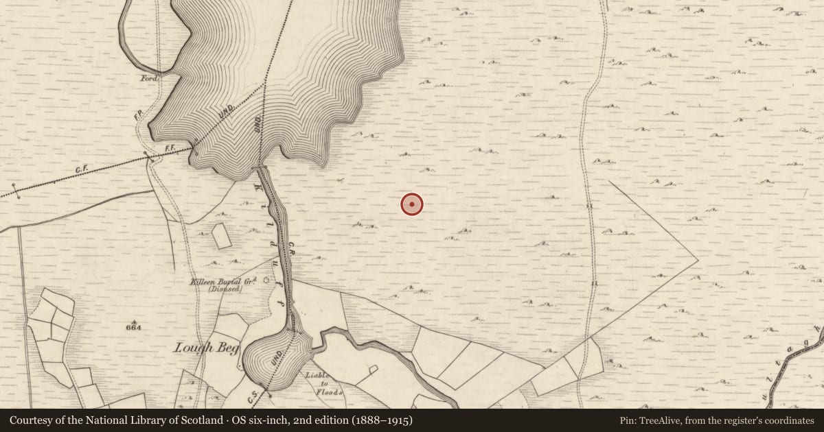 Ordnance Survey six-inch map, 2nd edition (1888–1915) covering the location of Hut site, Derrynafeana (Dunkerron North By., Knockane Par.), County Kerry, with a pin at the register's coordinates