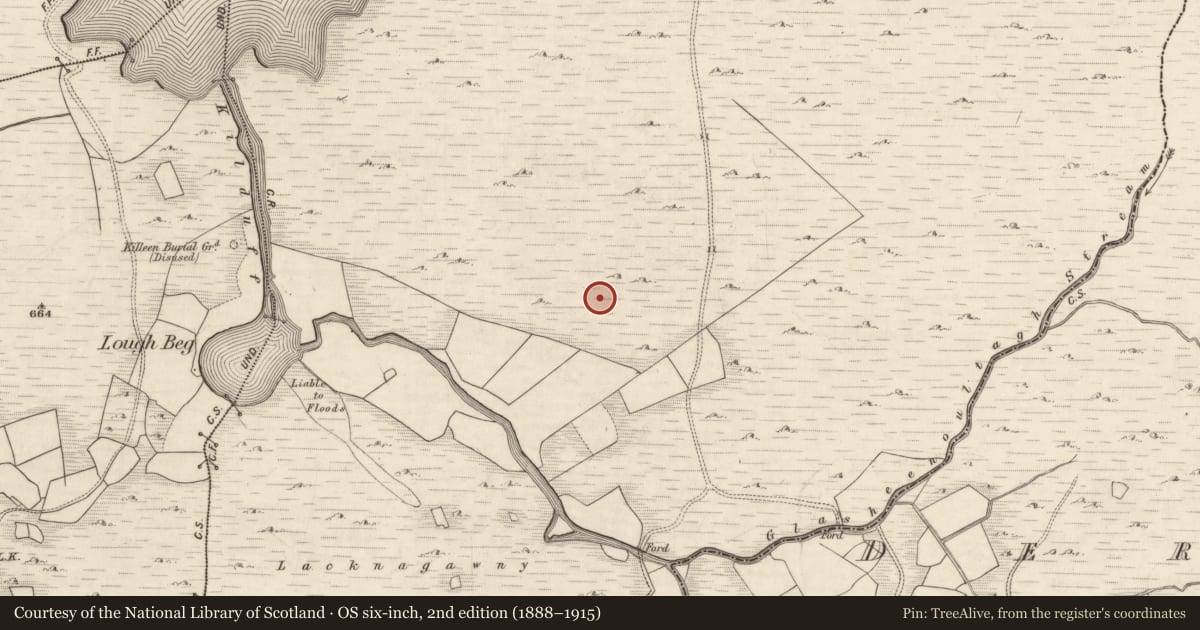 Ordnance Survey six-inch map, 2nd edition (1888–1915) covering the location of Fulacht fia, Derrynafeana (Dunkerron North By., Knockane Par.), County Kerry, with a pin at the register's coordinates