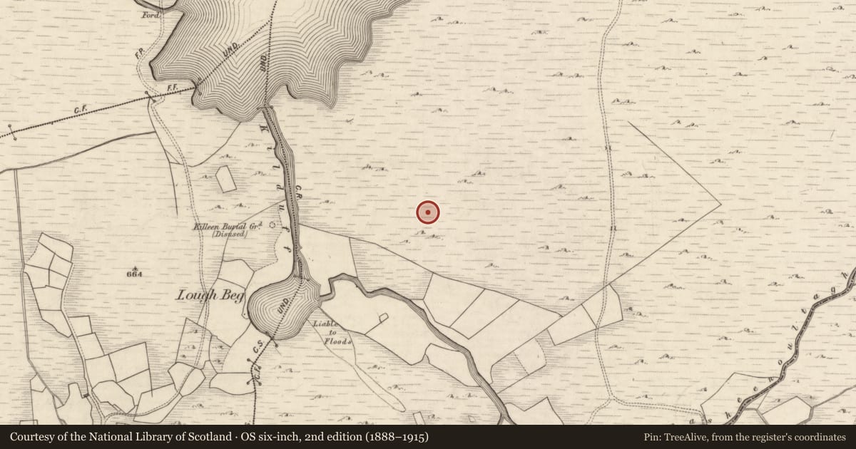 Ordnance Survey six-inch map, 2nd edition (1888–1915) covering the location of Hut site, Derrynafeana (Dunkerron North By., Knockane Par.), County Kerry, with a pin at the register's coordinates