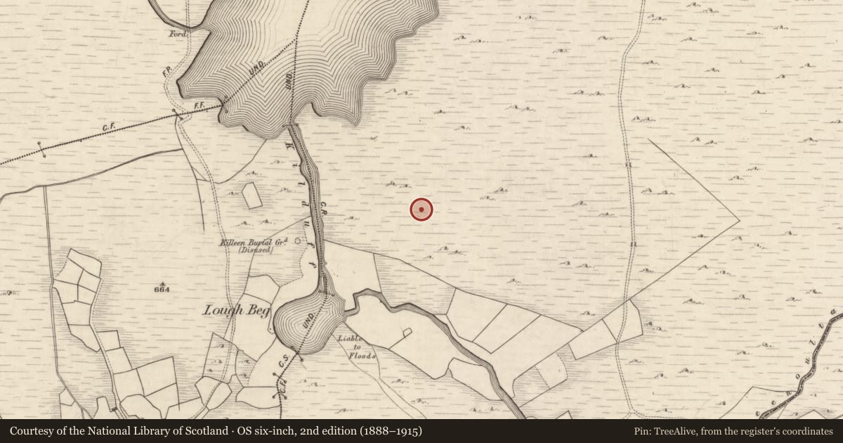 Ordnance Survey six-inch map, 2nd edition (1888–1915) covering the location of Hut site, Derrynafeana (Dunkerron North By., Knockane Par.), County Kerry, with a pin at the register's coordinates