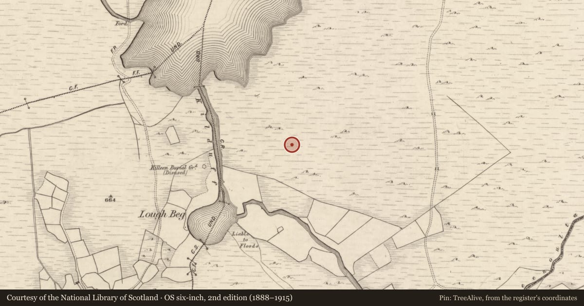Ordnance Survey six-inch map, 2nd edition (1888–1915) covering the location of Hut site, Derrynafeana (Dunkerron North By., Knockane Par.), County Kerry, with a pin at the register's coordinates