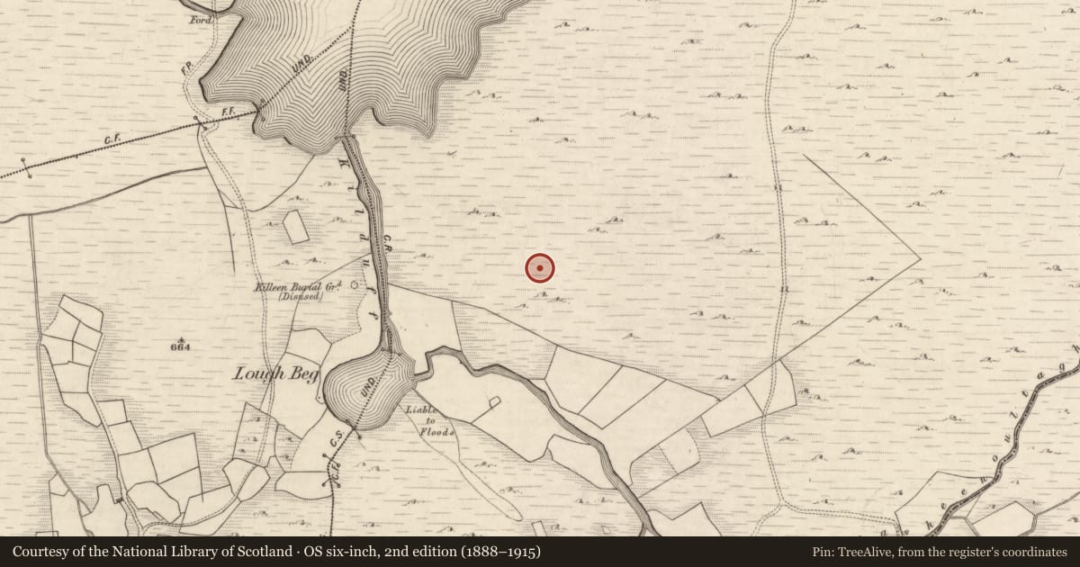 Ordnance Survey six-inch map, 2nd edition (1888–1915) covering the location of Hut site, Derrynafeana (Dunkerron North By., Knockane Par.), County Kerry, with a pin at the register's coordinates