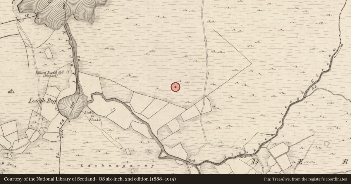 Ordnance Survey six-inch map, 2nd edition (1888–1915) covering the location of Hut site, Derrynafeana (Dunkerron North By., Knockane Par.), County Kerry, with a pin at the register's coordinates