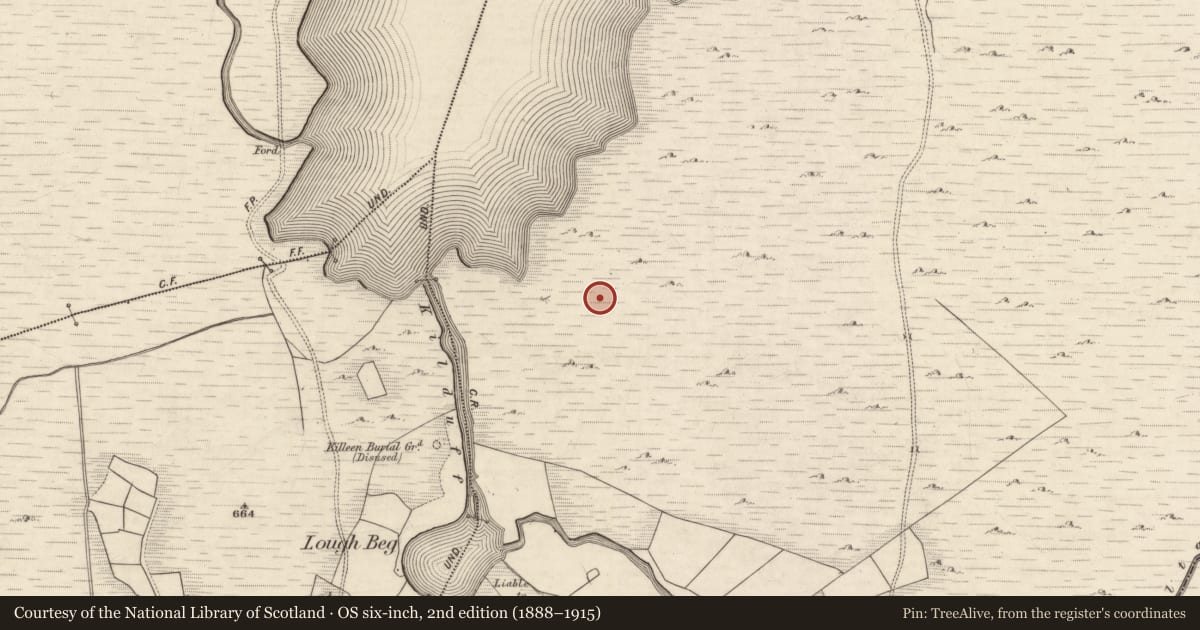 Ordnance Survey six-inch map, 2nd edition (1888–1915) covering the location of Hut site, Derrynafeana (Dunkerron North By., Knockane Par.), County Kerry, with a pin at the register's coordinates