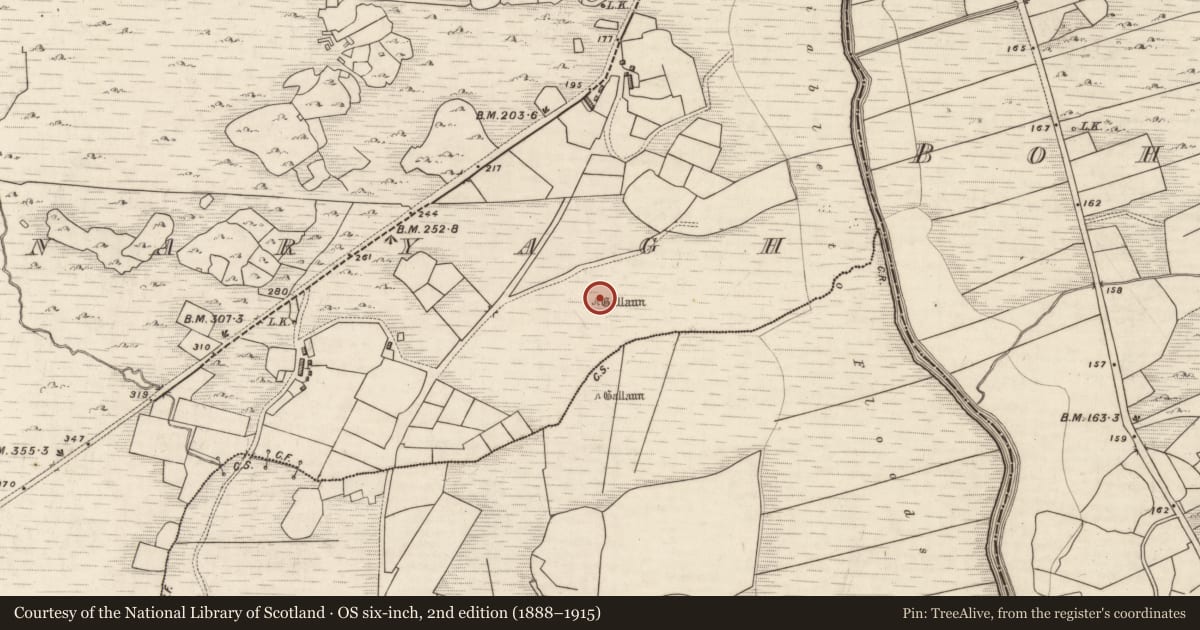 Ordnance Survey six-inch map, 2nd edition (1888–1915) covering the location of Standing stone, Derreenanaryagh, County Kerry, with a pin at the register's coordinates