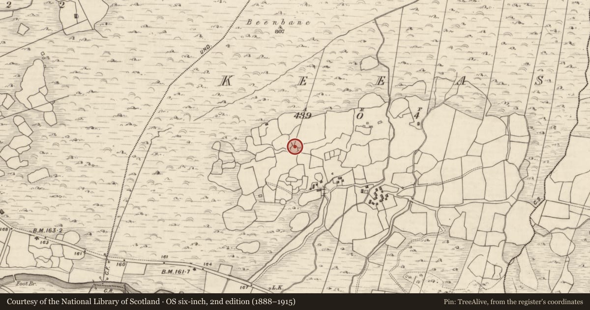 Ordnance Survey six-inch map, 2nd edition (1888–1915) covering the location of Hut site, Keeas, County Kerry, with a pin at the register's coordinates