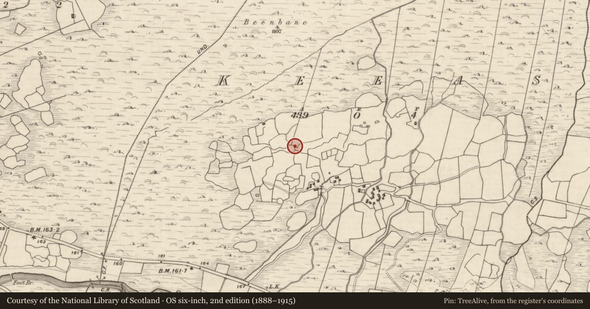 Ordnance Survey six-inch map, 2nd edition (1888–1915) covering the location of Souterrain, Keeas, County Kerry, with a pin at the register's coordinates