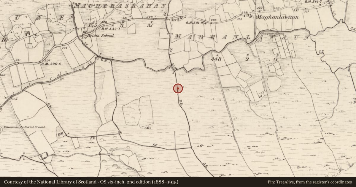 Ordnance Survey six-inch map, 2nd edition (1888–1915) covering the location of Fulacht fia, Maghanlawaun, County Kerry, with a pin at the register's coordinates