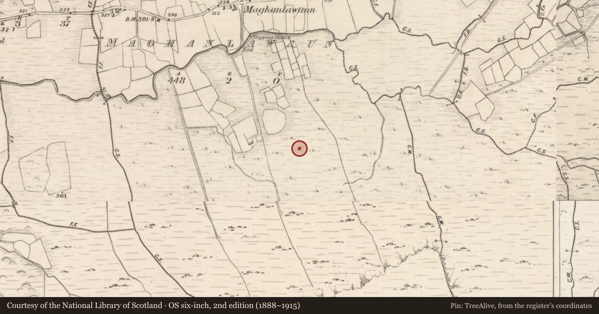 Ordnance Survey six-inch map, 2nd edition (1888–1915) covering the location of Field boundary, Maghanlawaun, County Kerry, with a pin at the register's coordinates