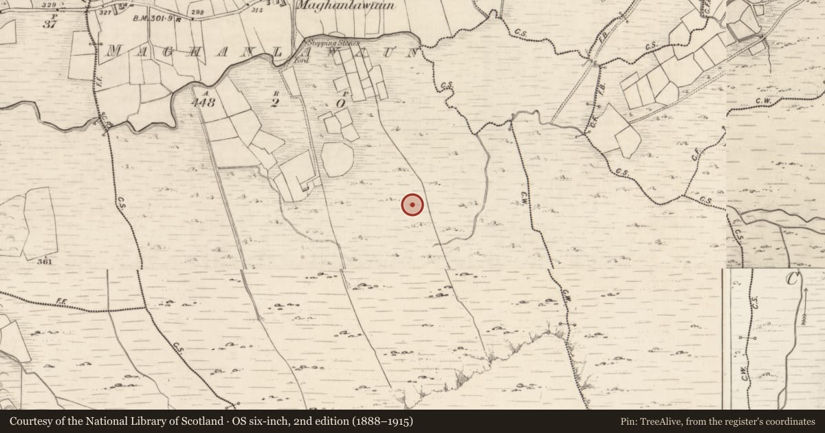 Ordnance Survey six-inch map, 2nd edition (1888–1915) covering the location of Hut site, Maghanlawaun, County Kerry, with a pin at the register's coordinates