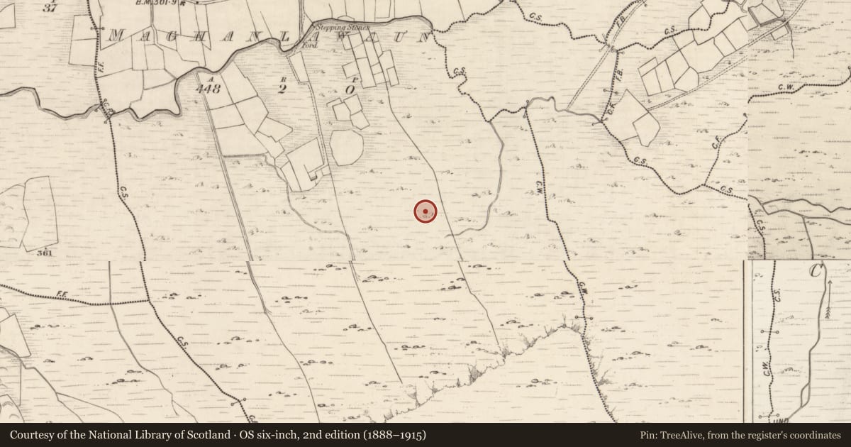 Ordnance Survey six-inch map, 2nd edition (1888–1915) covering the location of Hut site, Maghanlawaun, County Kerry, with a pin at the register's coordinates
