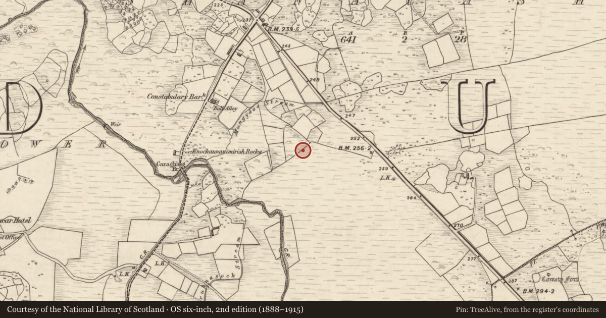 Ordnance Survey six-inch map, 2nd edition (1888–1915) covering the location of Rock art, Shanacashel, County Kerry, with a pin at the register's coordinates