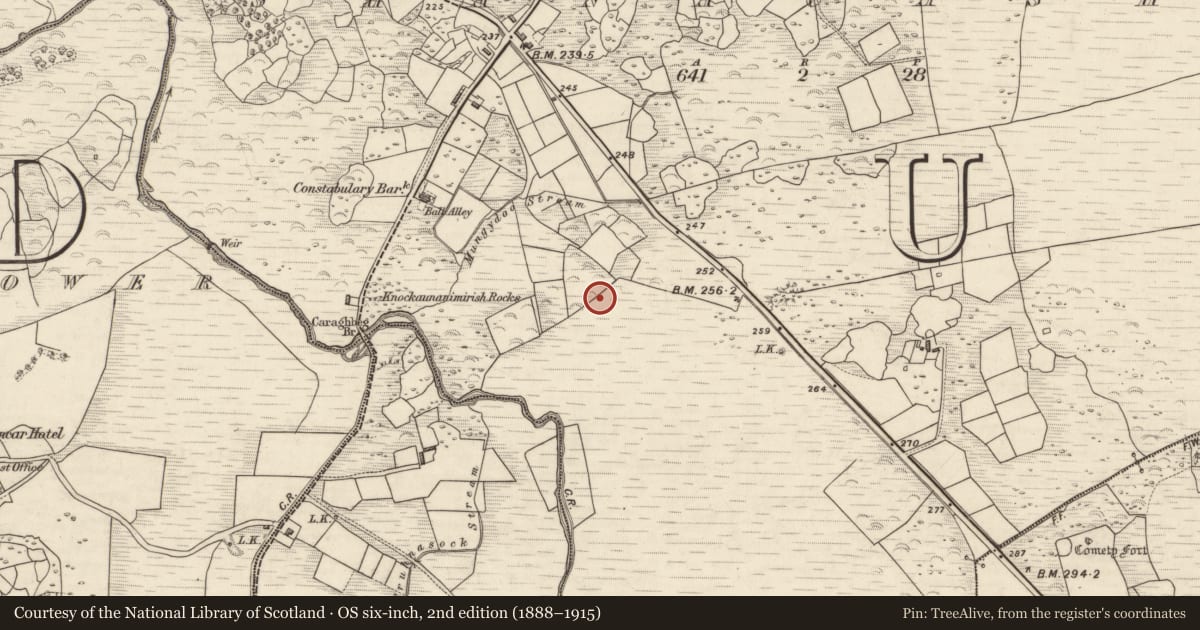 Ordnance Survey six-inch map, 2nd edition (1888–1915) covering the location of Rock art, Shanacashel, County Kerry, with a pin at the register's coordinates