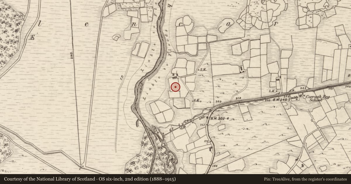 Ordnance Survey six-inch map, 2nd edition (1888–1915) covering the location of Souterrain, Lyranes Upper, County Kerry, with a pin at the register's coordinates