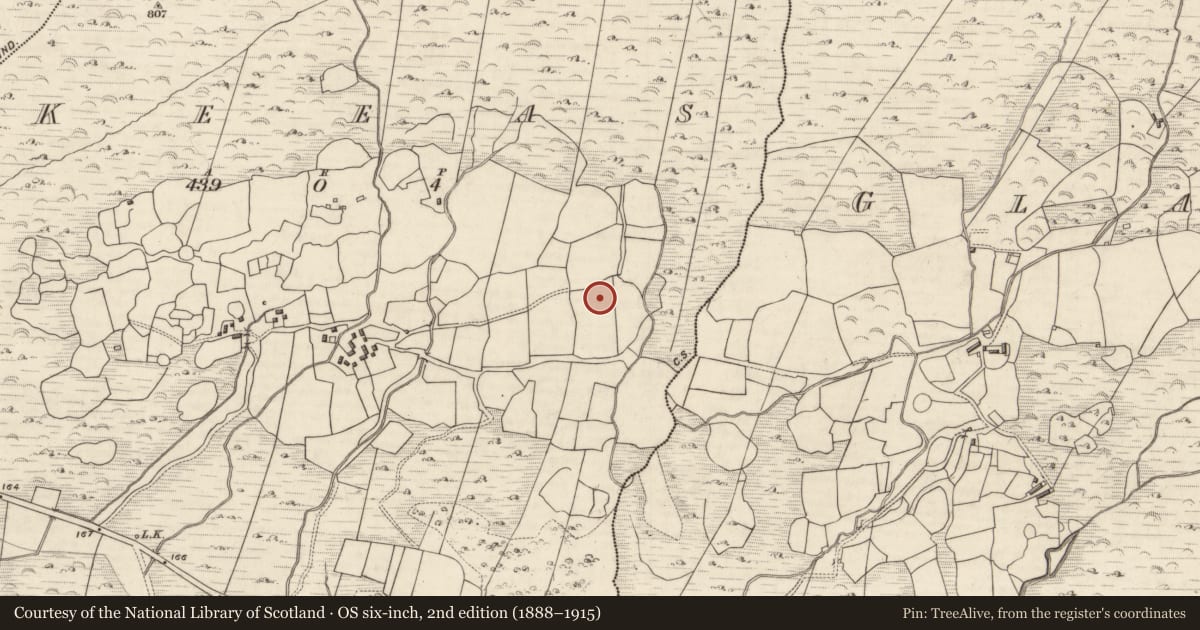 Ordnance Survey six-inch map, 2nd edition (1888–1915) covering the location of Souterrain, Keeas, County Kerry, with a pin at the register's coordinates