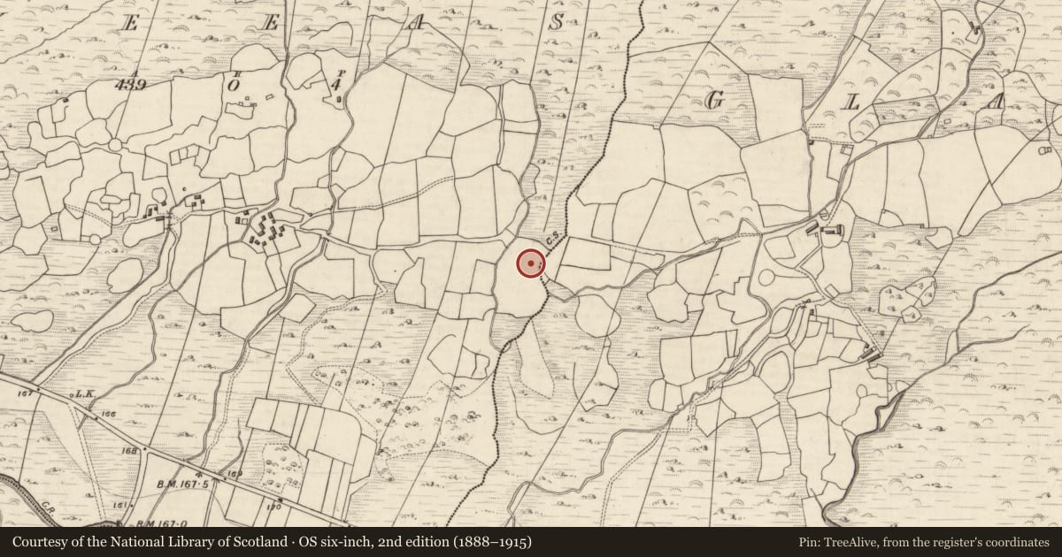 Ordnance Survey six-inch map, 2nd edition (1888–1915) covering the location of Rock art, Keeas, County Kerry, with a pin at the register's coordinates