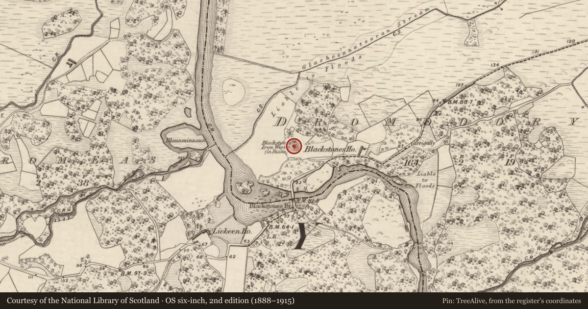 Ordnance Survey six-inch map, 2nd edition (1888–1915) covering the location of Metalworking site, Dromdoory, County Kerry, with a pin at the register's coordinates