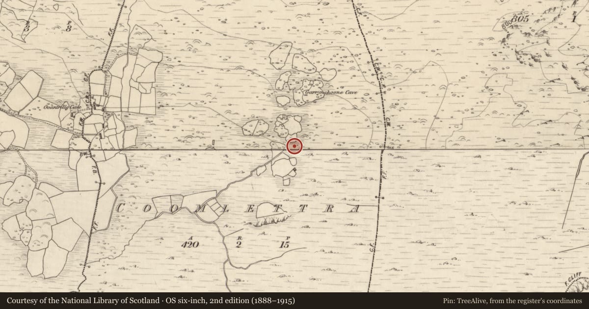 Ordnance Survey six-inch map, 2nd edition (1888–1915) covering the location of Rock art, Coomlettra, County Kerry, with a pin at the register's coordinates