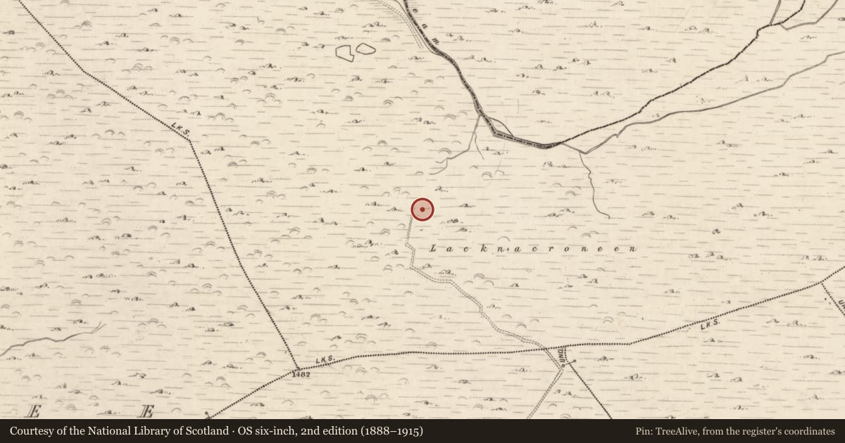 Ordnance Survey six-inch map, 2nd edition (1888–1915) covering the location of Hut site, Derrynafeana (Dunkerron North By., Knockane Par.), County Kerry, with a pin at the register's coordinates