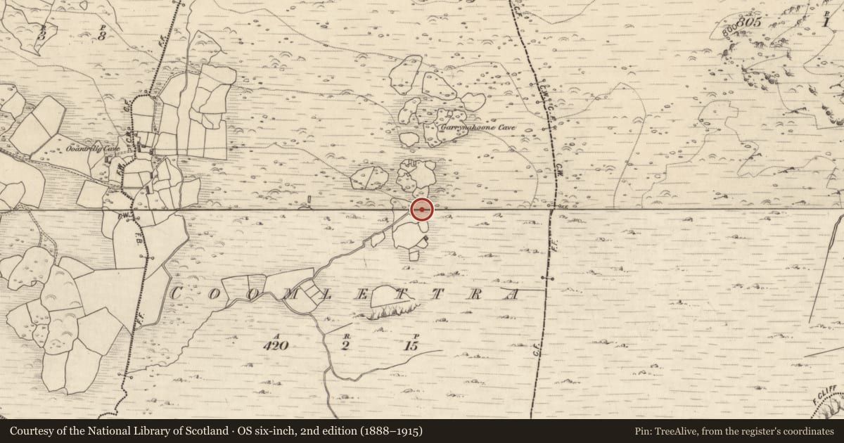Ordnance Survey six-inch map, 2nd edition (1888–1915) covering the location of Rock art, Coomlettra, County Kerry, with a pin at the register's coordinates