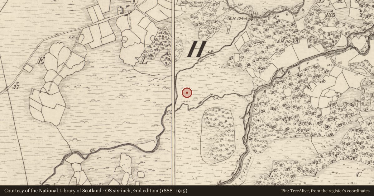 Ordnance Survey six-inch map, 2nd edition (1888–1915) covering the location of Rock art, Drom East, County Kerry, with a pin at the register's coordinates
