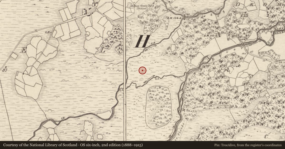 Ordnance Survey six-inch map, 2nd edition (1888–1915) covering the location of Rock art, Drom East, County Kerry, with a pin at the register's coordinates