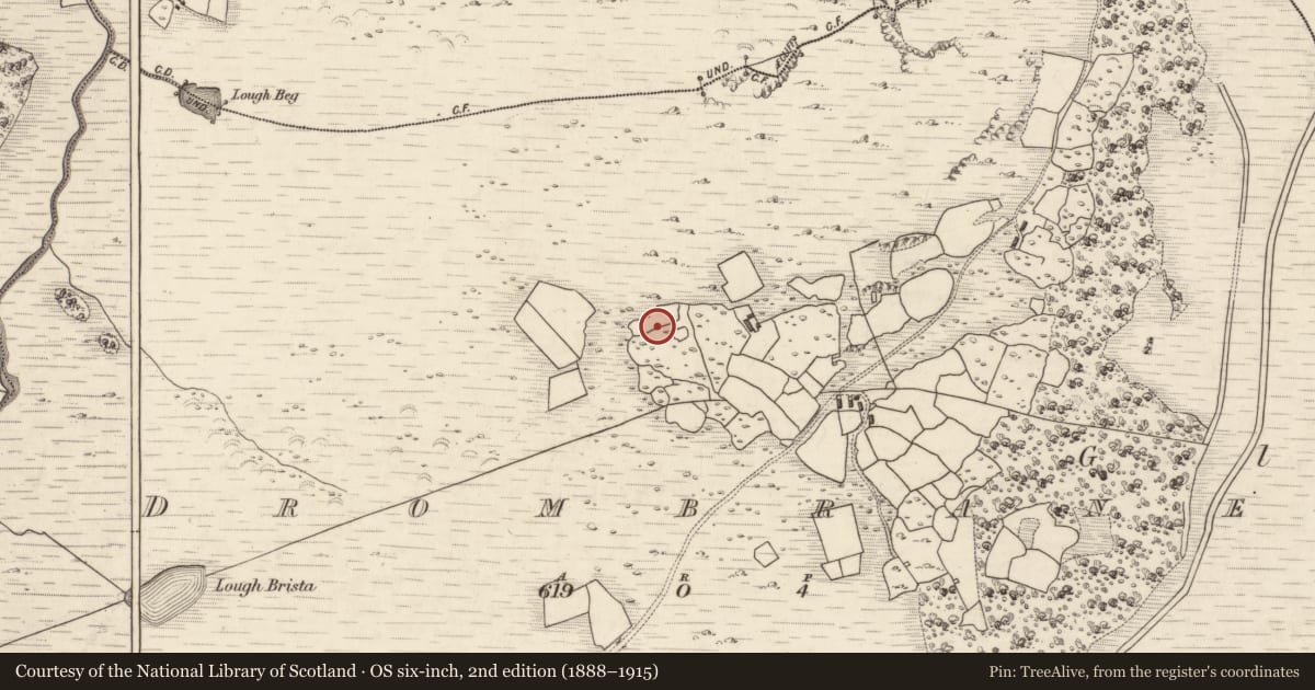 Ordnance Survey six-inch map, 2nd edition (1888–1915) covering the location of Rock art, Drombane, County Kerry, with a pin at the register's coordinates