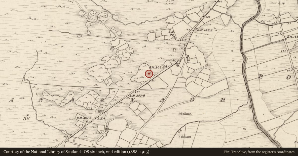 Ordnance Survey six-inch map, 2nd edition (1888–1915) covering the location of Rock art, Derreenanaryagh, County Kerry, with a pin at the register's coordinates