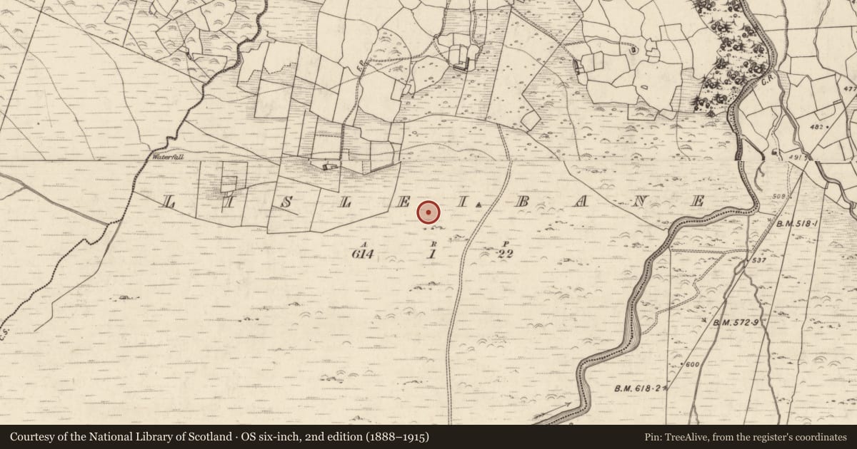 Ordnance Survey six-inch map, 2nd edition (1888–1915) covering the location of Hut site, Lisleibane, County Kerry, with a pin at the register's coordinates