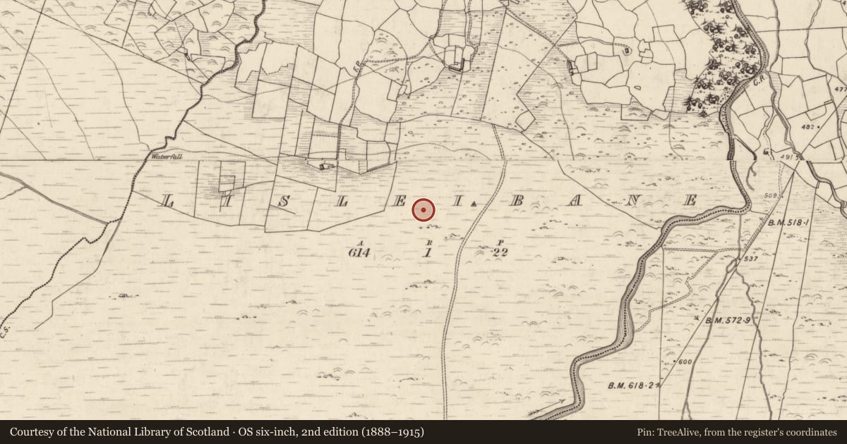 Ordnance Survey six-inch map, 2nd edition (1888–1915) covering the location of Hut site, Lisleibane, County Kerry, with a pin at the register's coordinates
