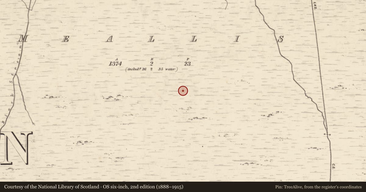 Ordnance Survey six-inch map, 2nd edition (1888–1915) covering the location of Hut site, Meallis, County Kerry, with a pin at the register's coordinates