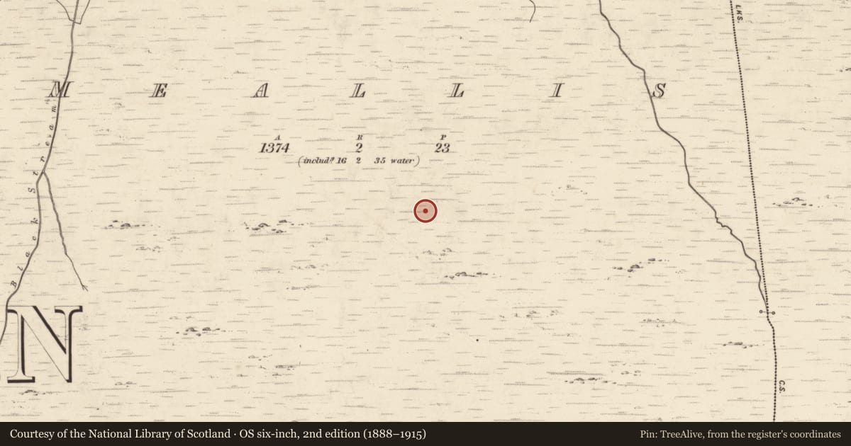 Ordnance Survey six-inch map, 2nd edition (1888–1915) covering the location of Hut site, Meallis, County Kerry, with a pin at the register's coordinates