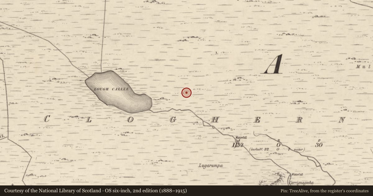 Ordnance Survey six-inch map, 2nd edition (1888–1915) covering the location of Hut site, Cloghernoosh, County Kerry, with a pin at the register's coordinates