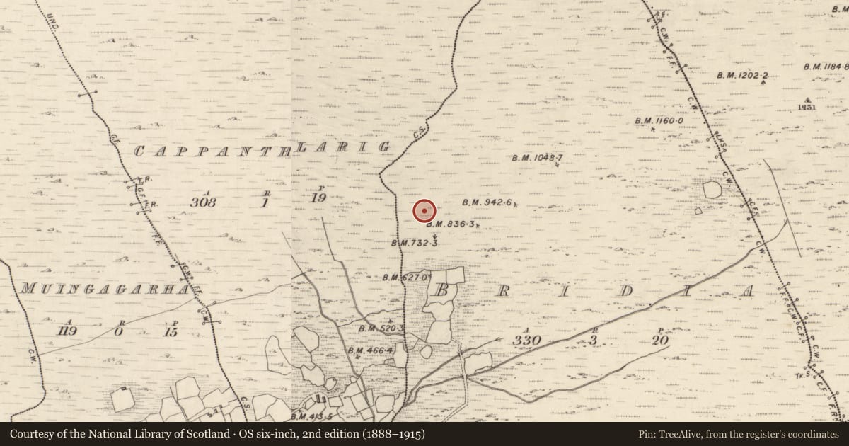 Ordnance Survey six-inch map, 2nd edition (1888–1915) covering the location of Hut site, Bridia, County Kerry, with a pin at the register's coordinates