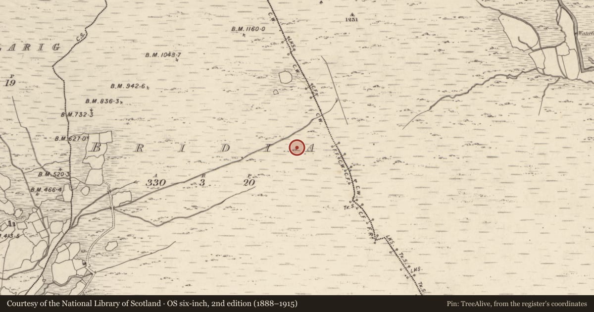 Ordnance Survey six-inch map, 2nd edition (1888–1915) covering the location of Hut site, Bridia, County Kerry, with a pin at the register's coordinates