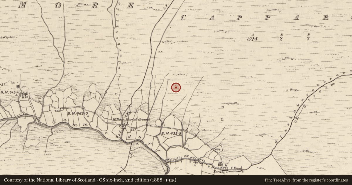 Ordnance Survey six-inch map, 2nd edition (1888–1915) covering the location of Field boundary, Capparoe, County Kerry, with a pin at the register's coordinates