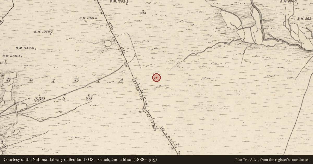 Ordnance Survey six-inch map, 2nd edition (1888–1915) covering the location of Stone row, Curragh More, County Kerry, with a pin at the register's coordinates