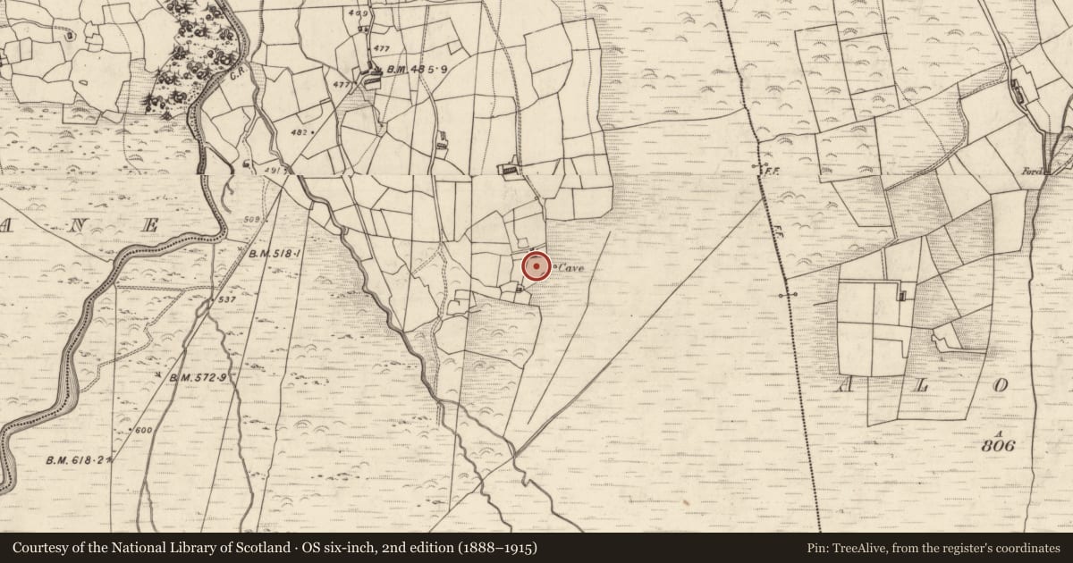 Ordnance Survey six-inch map, 2nd edition (1888–1915) covering the location of Ringfort - rath, Meallis, County Kerry, with a pin at the register's coordinates