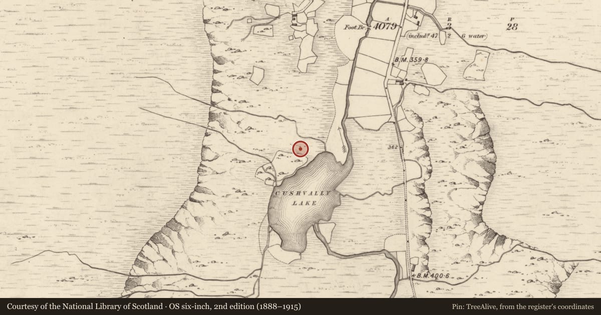 Ordnance Survey six-inch map, 2nd edition (1888–1915) covering the location of Hut site, Dunloe Upper, County Kerry, with a pin at the register's coordinates
