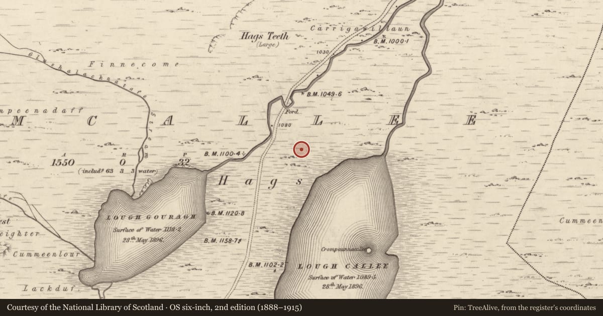 Ordnance Survey six-inch map, 2nd edition (1888–1915) covering the location of Hut site, Coomcallee, County Kerry, with a pin at the register's coordinates