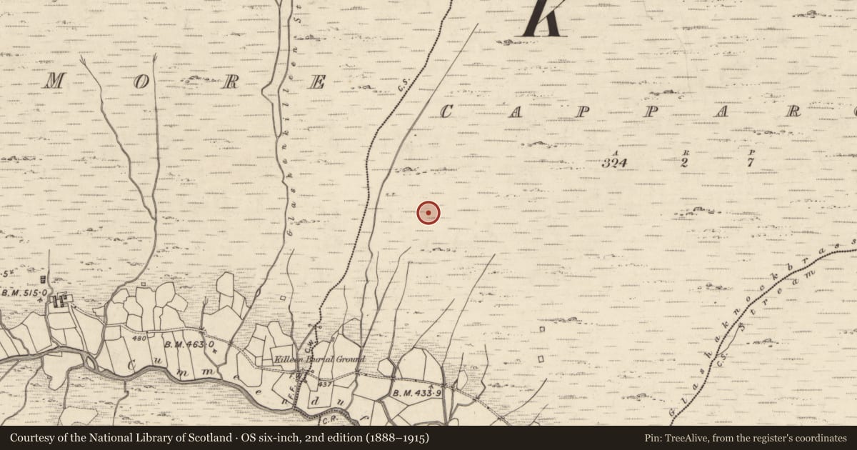 Ordnance Survey six-inch map, 2nd edition (1888–1915) covering the location of Enclosure, Capparoe, County Kerry, with a pin at the register's coordinates