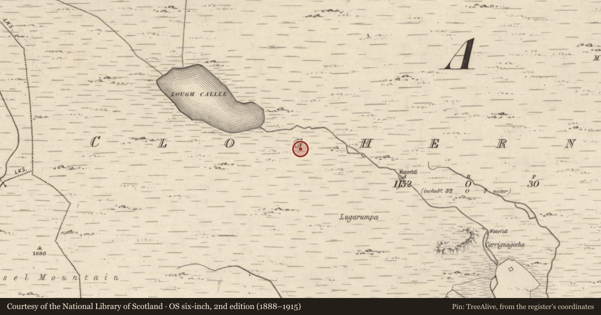 Ordnance Survey six-inch map, 2nd edition (1888–1915) covering the location of Hut site, Cloghernoosh, County Kerry, with a pin at the register's coordinates