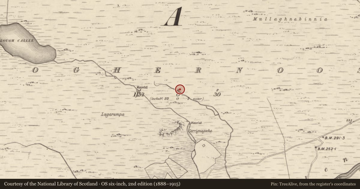 Ordnance Survey six-inch map, 2nd edition (1888–1915) covering the location of Hut site, Cloghernoosh, County Kerry, with a pin at the register's coordinates